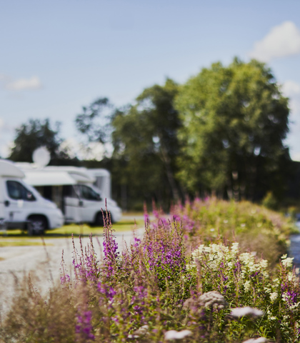 Vasetdansen Camping Bobiler Blomster